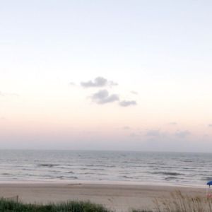 Meet your Posher, Evie